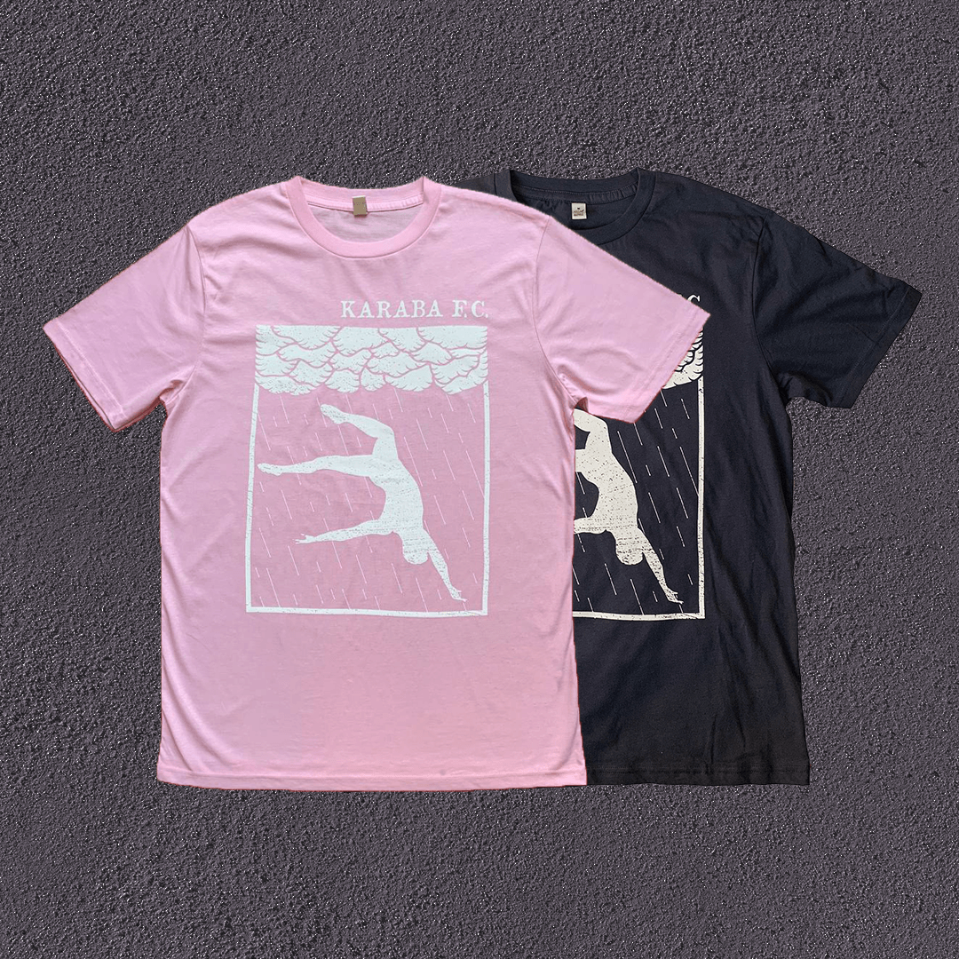 Tshirt April Dancer